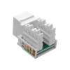 GNIAZDO RJ45 UTP KAT5E KEYSTONE NIEEKRANOWANE-100700