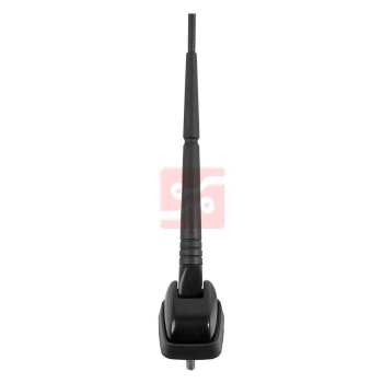 ANTENA DACHOWA FORD-100258