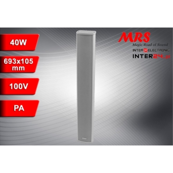 KOLUMNA RADIOWĘZŁOWA PA MRS-28T METAL BIAŁA 40W/20W IP44-117506