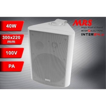 KOLUMNA UNIWERSALNA PA MRS-61B 100V 8OHM 40W 2-DROŻNA BIAŁA-117526